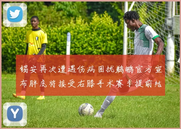 锡安再次遭遇伤病困扰鹈鹕官方宣布胖虎将接受右膝手术赛季提前结束