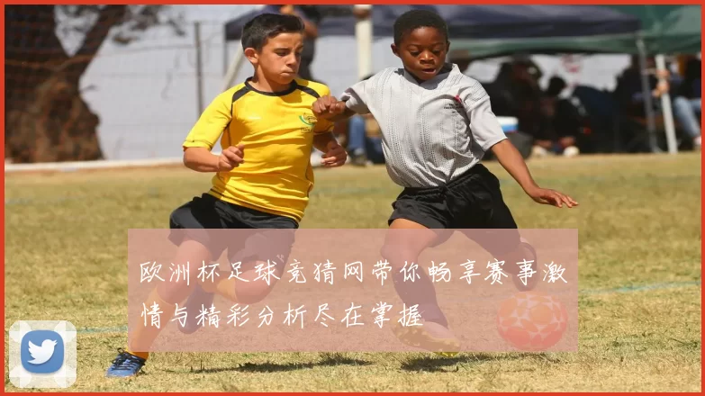 欧洲杯足球竞猜网带你畅享赛事激情与精彩分析尽在掌握